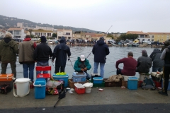 La pointe courte