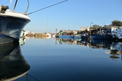 La pointe courte