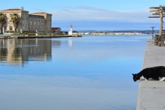 La pointe courte